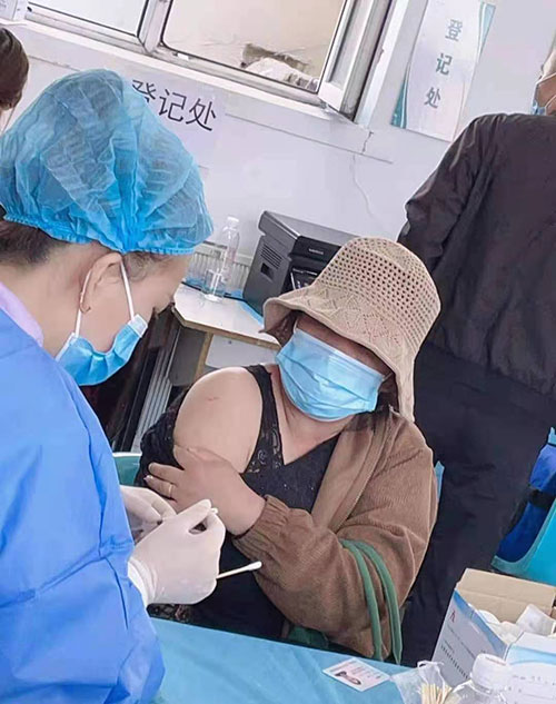 半岛网页版苗接种工作